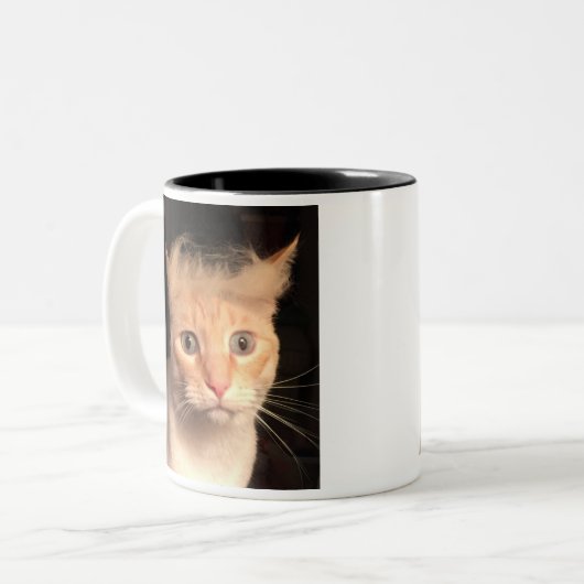 2 Couleurs Trump votre tasse de chat (Devant gauche)