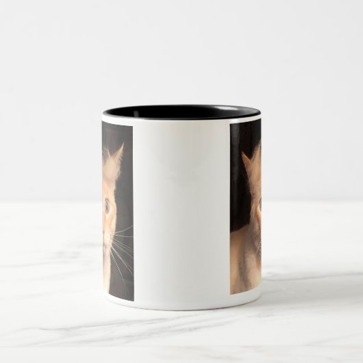 2 Couleurs Trump votre tasse de chat (Centre)