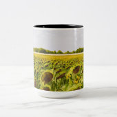 2 Couleurs "Un champ tasse de rêves" (Centre)