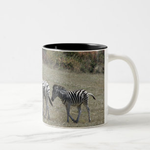 2 Couleurs Zèbres sur la tasse de mouvement