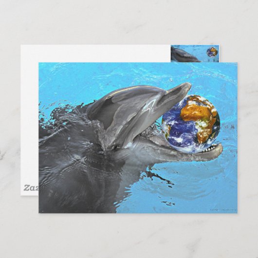 2 dauphins différents sur cette carte postale (Devant / Derrière)
