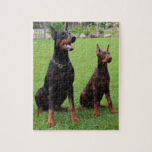 2 dobiës.png legpuzzel