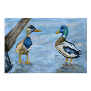 2 Ducks in A Conversation_0185_n400_tele Foto Afdruk