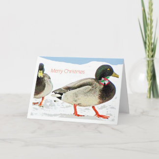 2 eenden w klokken n Holly Copy-Christmas Humor Feestdagen Kaart