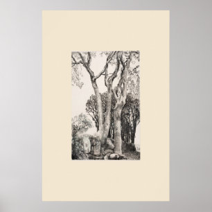 2 Essenbomen Cornwall Eleanor Hughes Nadruk Poster