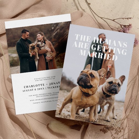 2 Foto Eenvoudige Grappige Hond Huwelijk Save The Date