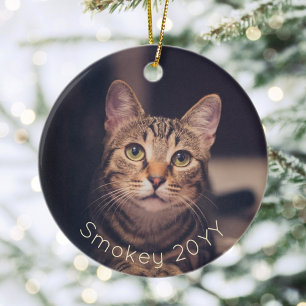 2 Foto Huisdier Naam & Jaar Eenvoudige Gouden Typo Keramisch Ornament