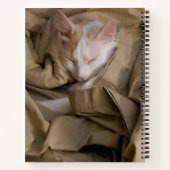 2 Foto White Script Name Year Modern Bullet Notitieboek (Achterkant)