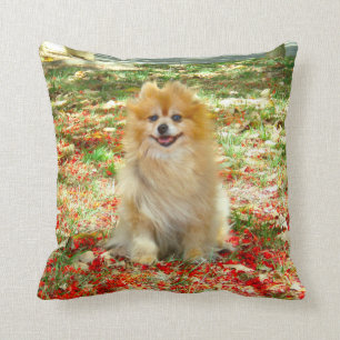 2 foto's Cute Pomeranian hond rode bloemen Kussen