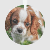 2 Foto's Kerst Krans Keepsake Hond Kat Huisdier Ornament (achterkant)