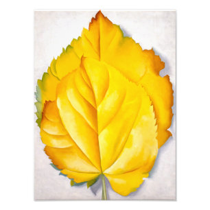 2 gele bladeren Georgia O'Keeffe Foto Afdruk