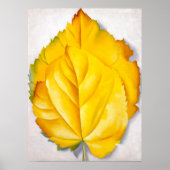 2 gele bladeren | Georgia O'Keeffe | Poster (Voorkant)
