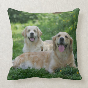 2 Golden Retrievers Laying in Grass Kussen