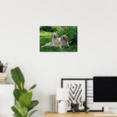 2 Golden Retrievers Laying in Grass Poster (Thuiskantoor)