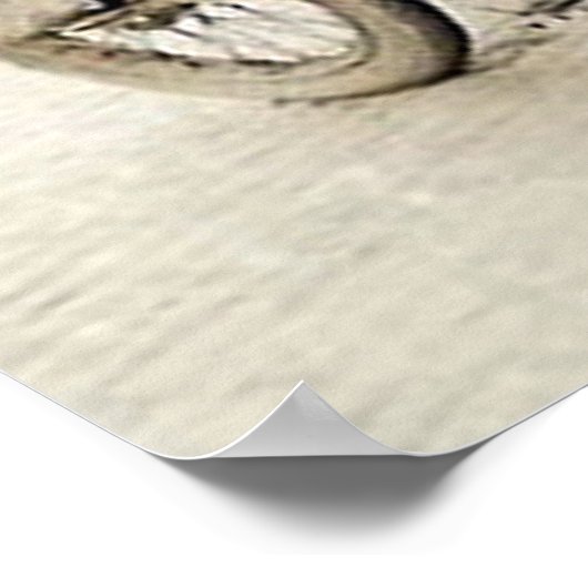 2 hommes en moto énorme poster (Coin)