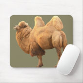 2 HUMP CAMEL MUISMAT (Met muis)