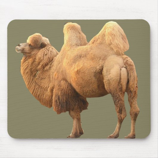 2 HUMP CAMEL MUISMAT (Voorkant)