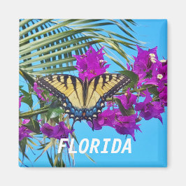 2 inch Square Magnet Magneet