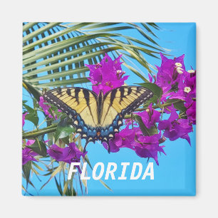 2 inch Square Magnet Magneet