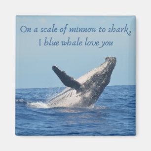 2 inch Square Magnet Magneet