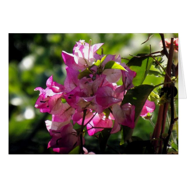 2 jaar (Voorkant Horizontaal)