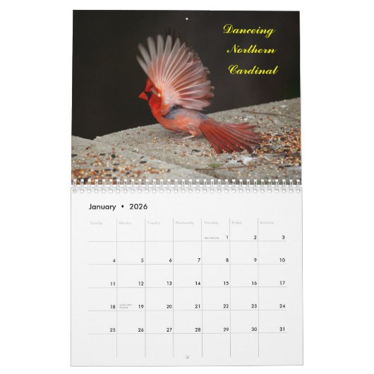 2 jaar Kalender voor vogels vanaf januari 2013 (Jan 2026)