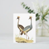 2 kraanvogel Briefkaart (Staand voorkant)