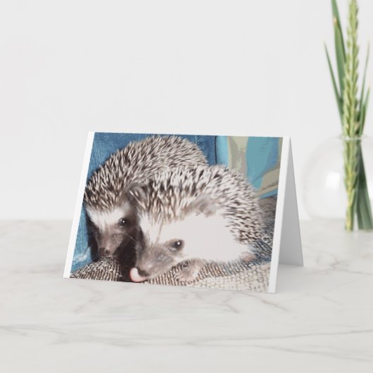 2 leuke egels kaart (Voorkant)