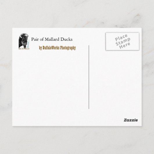 2 Mallards sur une clôture carte postale (Dos)