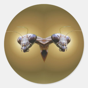 2 Mantis ~ sticker