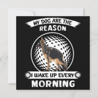2 Mijn honden zijn de reden dat ik elke ochtend wa Kaart