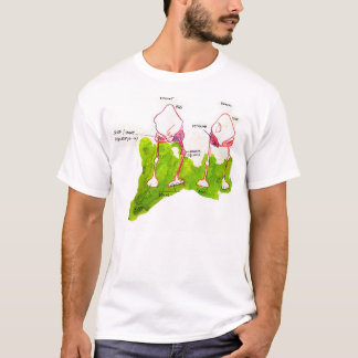 2 morf t-shirt