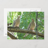 2 ochtenddoven briefkaart (Voorkant / Achterkant)