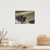 2 otters poster (Keuken)
