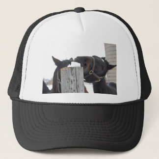 2 Paarden die op een Snowy Fence kauwen Trucker Pet