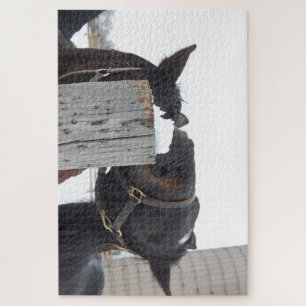 2 paarden kauwen op een Fence Post Legpuzzel