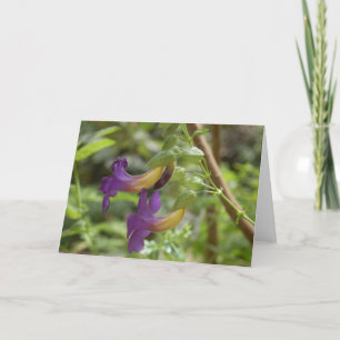 2 paarse bloemen kaart
