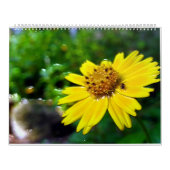 2 page, grand calendrier blanc (Protection)