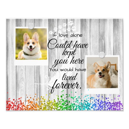 2 Photo Collage Animaux de compagnie Souvenir Phot (Devant)