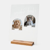 2 Photo Mariage de Animaux de compagnie Signature (Angle)