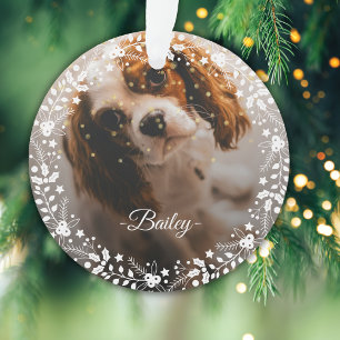 2 Photos Gardien de la couronne de Noël Chien Chie