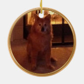 2 photos, ornement de mémorial de chien de 3 zones (Dos)