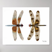 2 Poster d'Art Dragonflies (Devant)