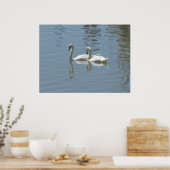 2 Poster Swans (Cuisine)