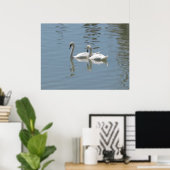 2 Poster Swans (Bureau à domicile)