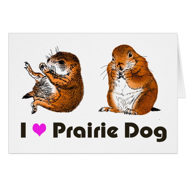 2 preiriehonden (Voorkant Horizontaal)