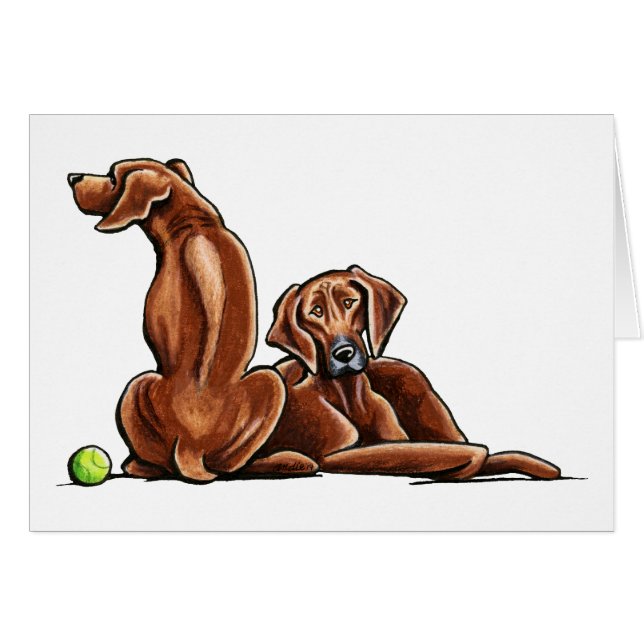 2 Rhodesian Ridgebacks (Devant horizontal)