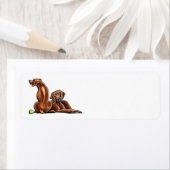 2 Rhodezische rugzakken Etiket (Insitu)