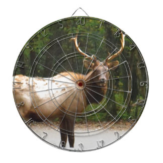 2 Rocky Mountain Elk Dartbord
