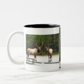 2 Rocky Mountain Elk Tweekleurige Koffiemok (Links)
